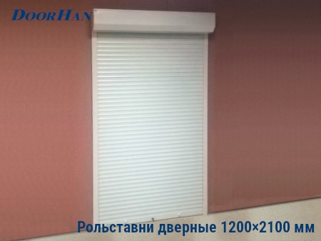 Рольставни на двери 1200×2100 мм в Якутске от 37858 руб.